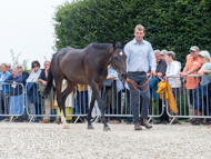 PN030825-131 - Len
